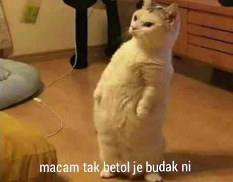 txtenleanor's tweet photo. @txtdaritroop7 https://t.co/Xvo3xSxMPn