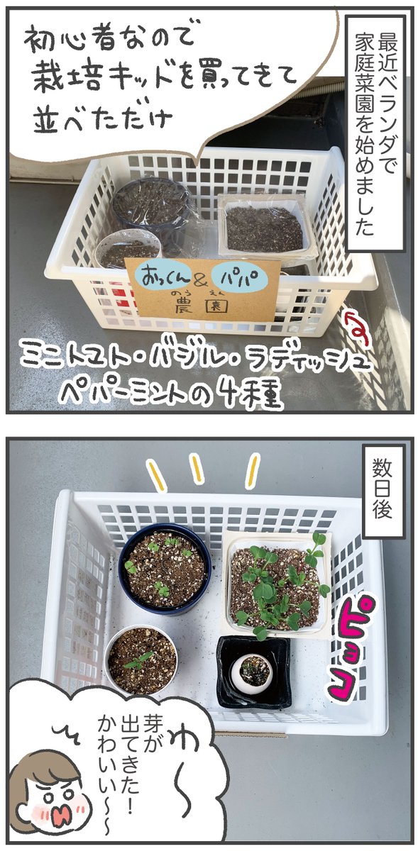 植物たちが愛おしい 