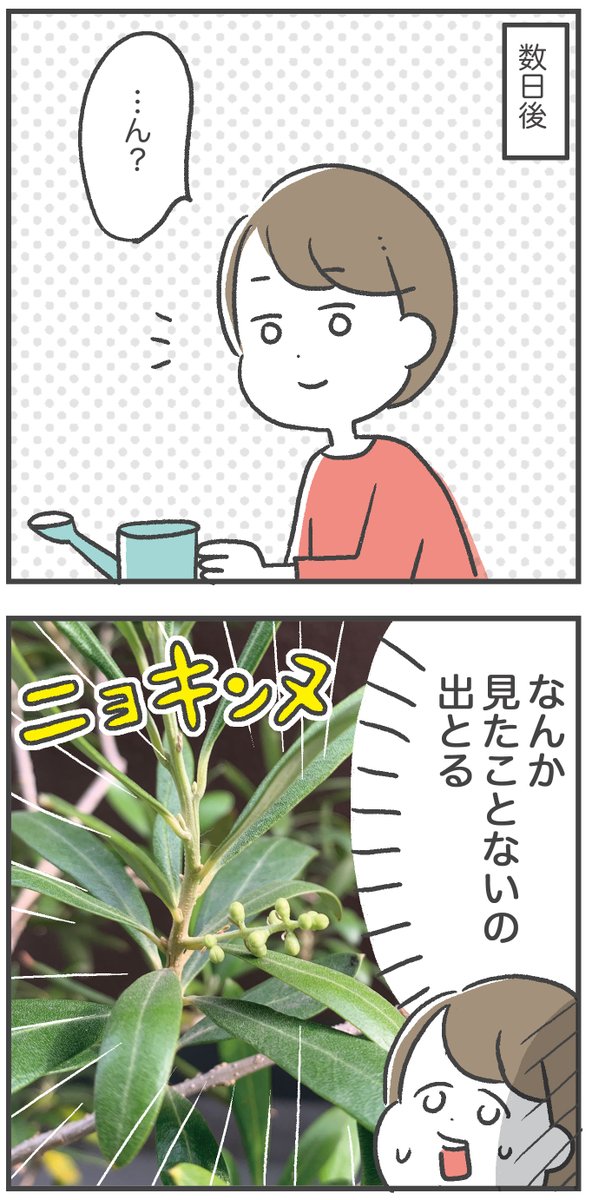 植物たちが愛おしい 