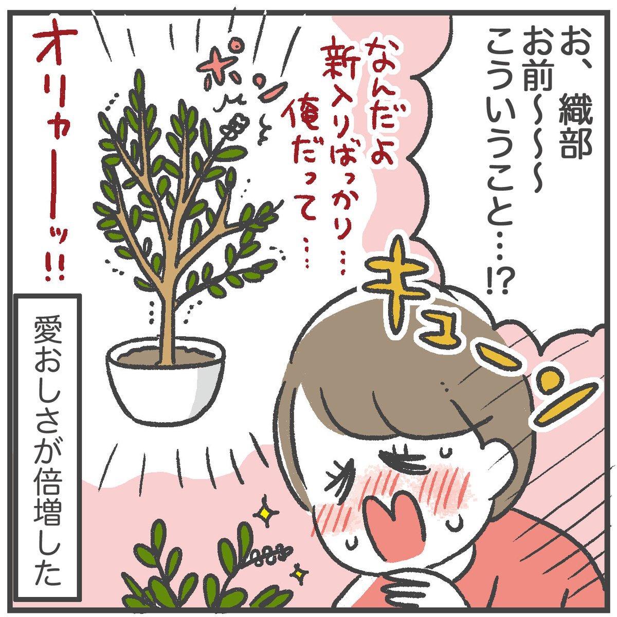 植物たちが愛おしい 