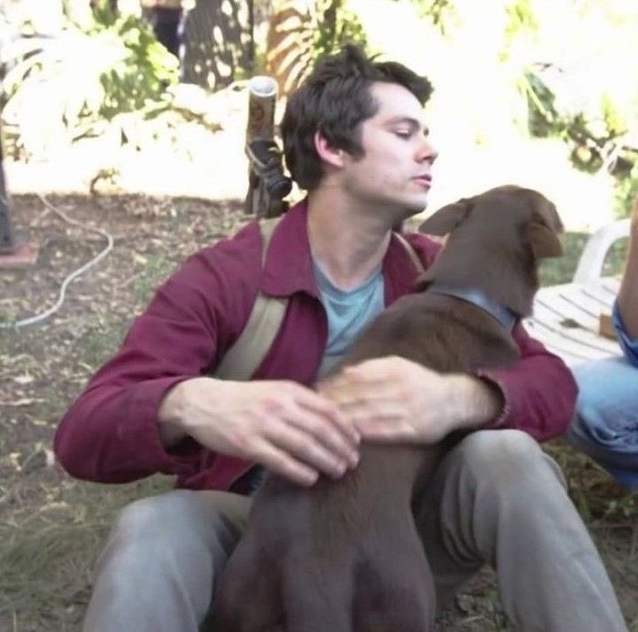 stydiaobrien's tweet photo. DYLAN O’BRIEN I LOVE UUUUUU https://t.co/0Wa415ZAEa