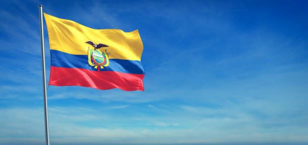 En este #24DeMayo se cumplen 200 años de la gran gesta libertaria. Celebremos con mucho orgullo esta histórica fecha 🇪🇨 #Ecuador