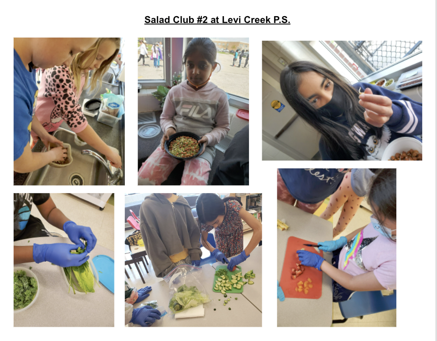 levi_creek's tweet photo. Salad Club#2 @levicreekps grew own sprouts, washed and cut veggies of choice, made a salad, cleaned tables, washed dishes, and had a salad picnic in our Outdoor Learning Grounds. Working #Together can be so much fun! #EatHealthy #SustainableEating @PDSB_eco https://t.co/4Dlw0XYalE