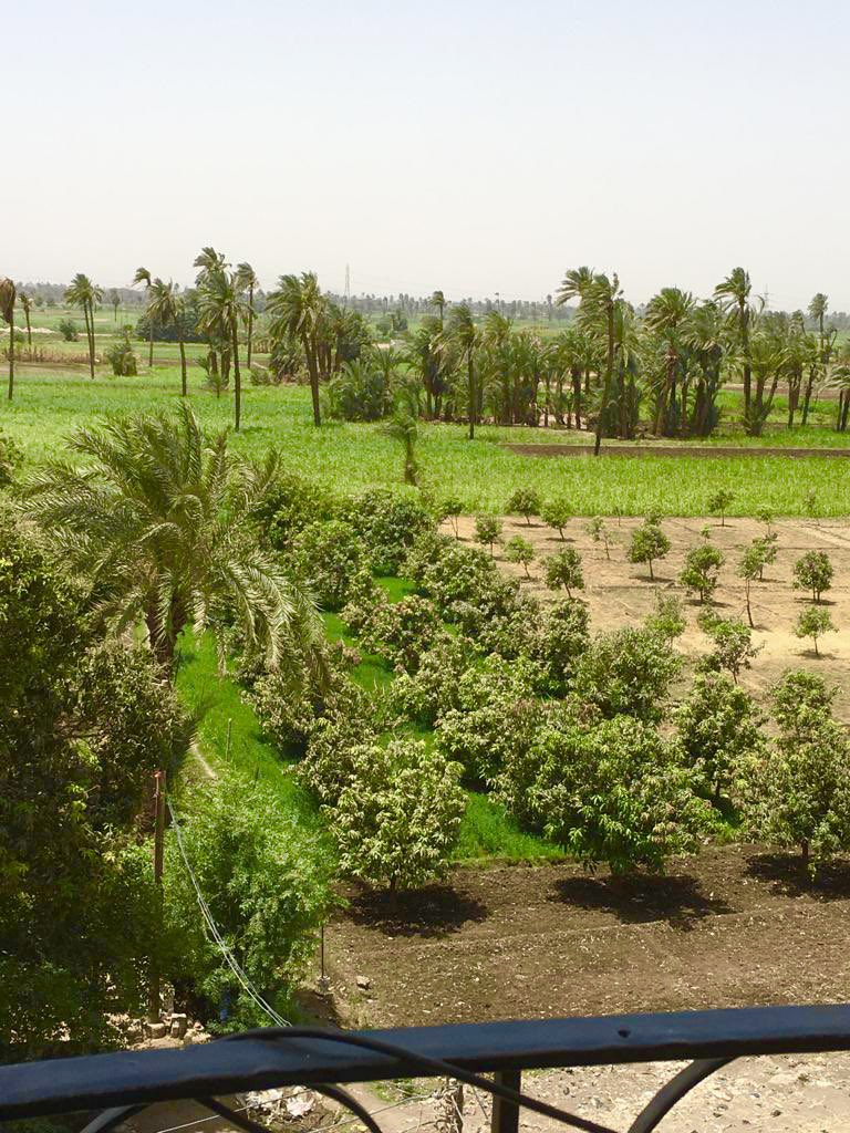 " تمسَّكْ إنْ ظفرتَ بِودِّ حُرٍّ
 
فإنَّ الحرَّ في الدُّنيا قليلُ!"

أسعـد الله صباحكم