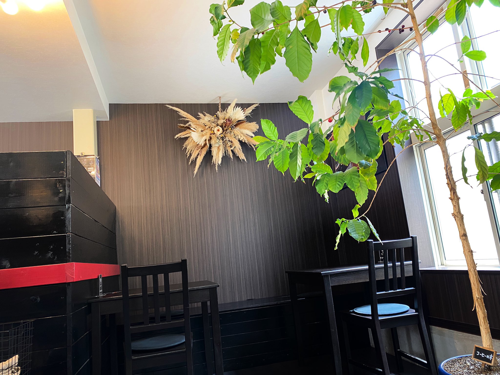 Houei Coffee Coffee Trees And Dried Flowers 成田山新勝寺 成田カフェ 千葉 カフェ カフェ大好き カフェ巡り カフェ散歩 カフェ部 カフェ巡り カフェ好きな人と繋がりたり 成田山 Narita 成田 成田空港 カフェ 成田カフェ Trees And