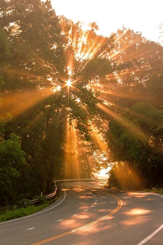 uYouDecide's tweet photo. https://t.co/Ue9H1PS0Cn