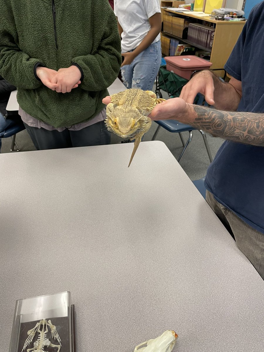 StaffPCA's tweet photo. Some interesting friends stopped by PCA today before our field trip to the Ft. Collins Discovery Museum. #theWarriorWay #psdproud https://t.co/3li81gVxXO