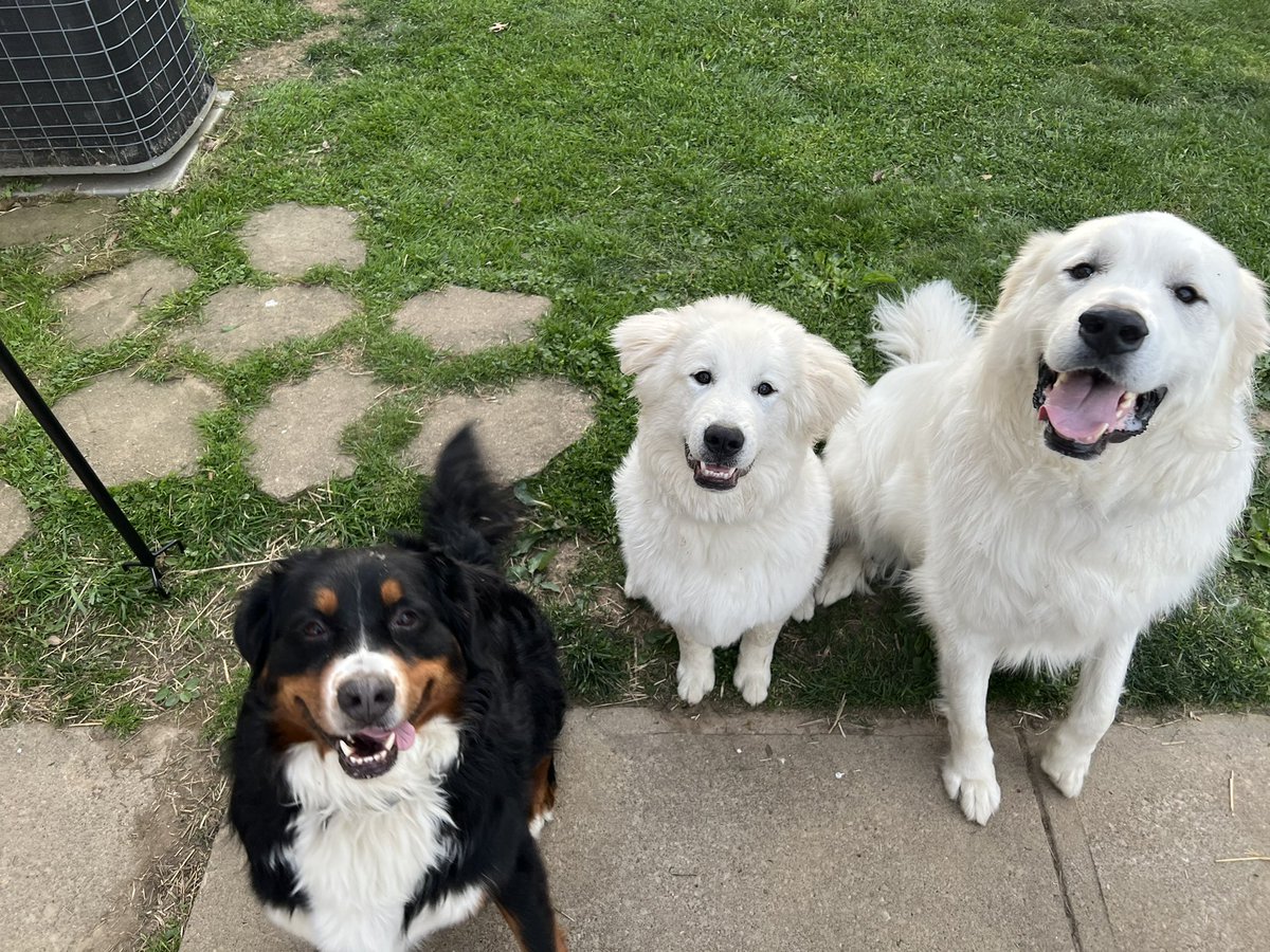 Rachel Arlen-Leon tweet media