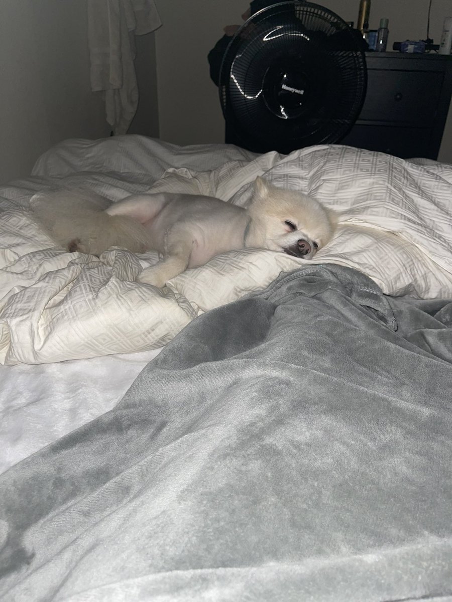 lilsigh's tweet photo. I just love him sooooo muuuuchh 💙 https://t.co/Ri9zlN8kzC