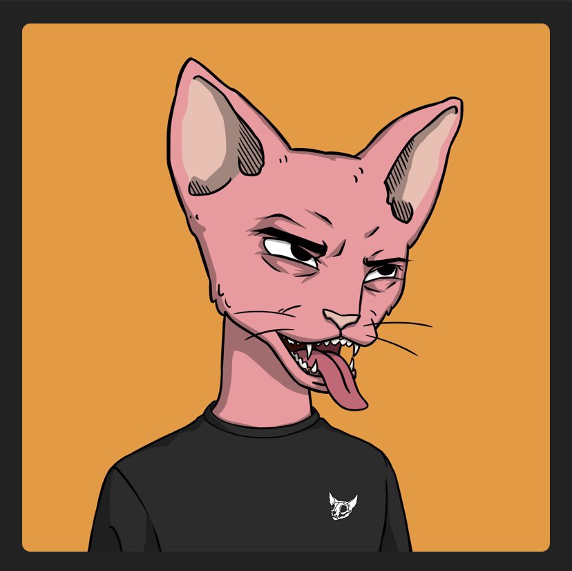 I DID IT! I finally caved in and found my perfect PINK <a href="/CetsOnCreck/">CetsOnCreck is now CETS</a> #WAGBO 👌😻🧸

Do Cets follow Cets???? Any Cet that RETWEETS or comments I’m following RIGHT NOW  #cetsoncreck #LFG 

And she looks like me 😻😻😻😻

Still ain’t Trippin (yet) 🤷🏻‍♀️💘
