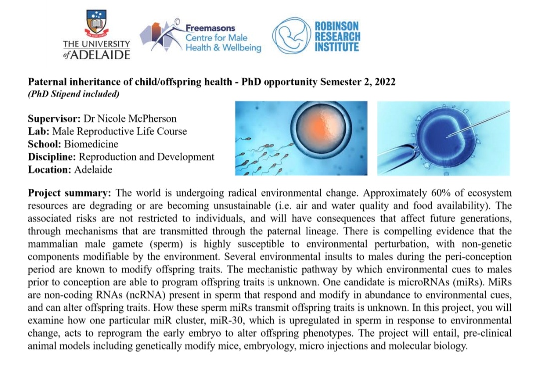 PhD opportunity - with stipend! Interested in paternal inheritance of child/offspring health? Dr <a href="/NicciMcPherson/">Nicole McPherson</a>, Head, Male Reproductive Life Course Group is seeking a suitable candidate to start their studies in Semester 2, 2022! <a href="/RobsInstitute/">Robinson Research Institute</a> <a href="/FCMHWMaleHealth/">Freemasons Centre for Male Health & Wellbeing</a> <a href="/UniofAdelaide/">Uni of Adelaide</a>