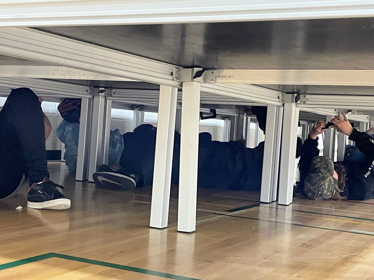 Danielle Istchenko tweet media