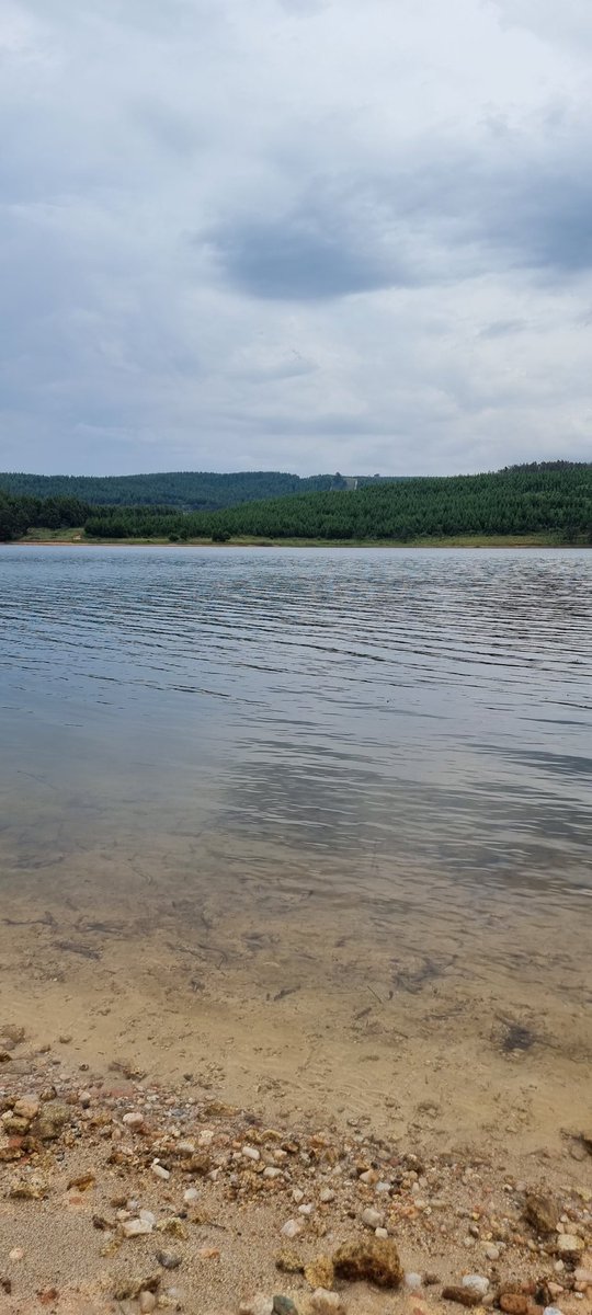 umzamocapital's tweet photo. Small Bridge Dam (Lake Alexandra) in the Manicaland province of Zimbabwe
📸@Mcdonance
#VisitManicaland #SmallBridge #VisitZimbabwe #Manicaland #TravelZimbabwe #Manicaland #Zimbabwe https://t.co/4jwzlrP4Ip