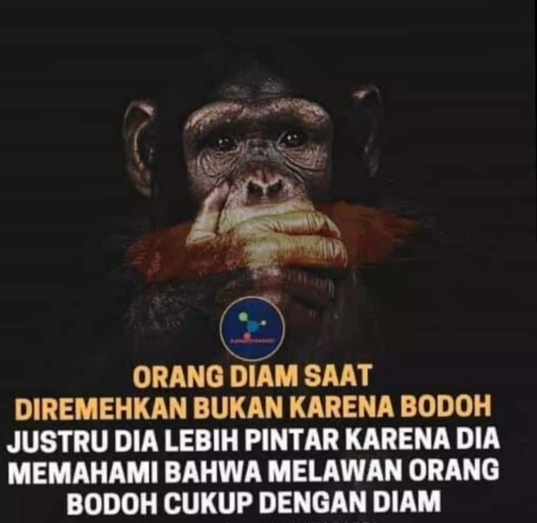 Mr.G.Hrp. tweet media