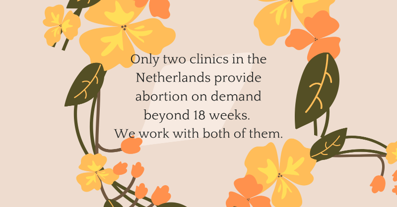 AbortionNetAms's tweet photo. Learn more about our work at Abortion Network Amsterdam and support us if you can ✨