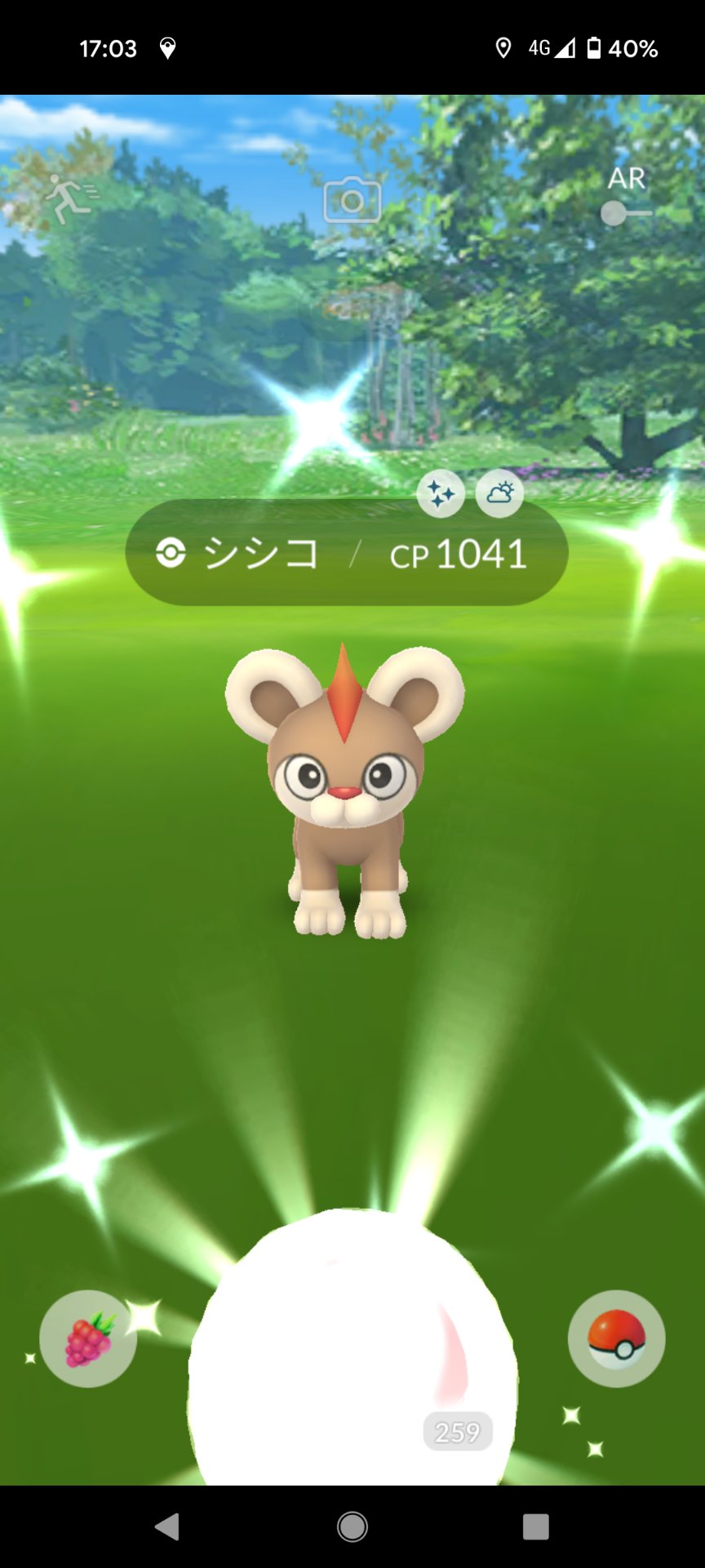 Noraneko やったー 3匹目の色違いc C K シシコ ゲット だからオスメスそれぞれ進化できるぜ ポケモンgo T Co Ea0x1iitdu Twitter
