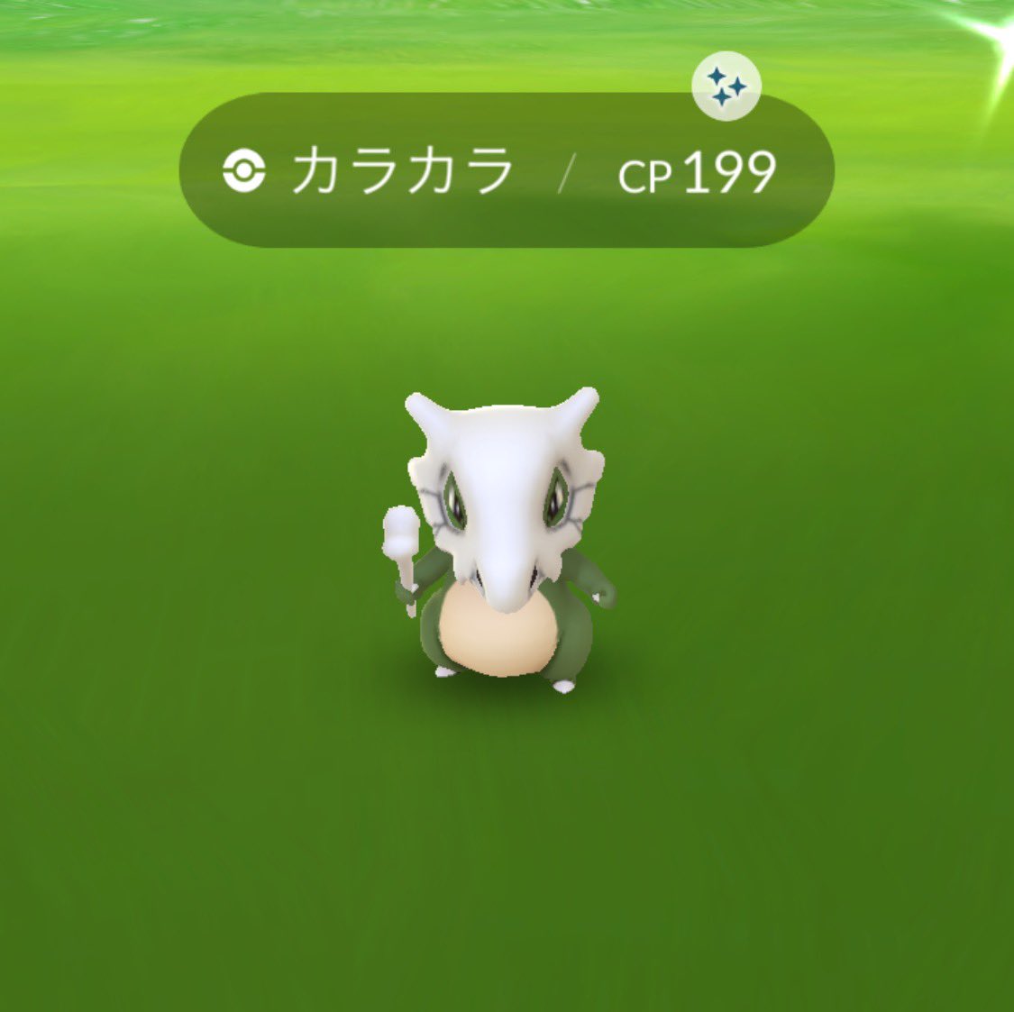 تويتر オタスケブタゴリラ على تويتر 二朗 あのさぁ お父さん アローラのガラガラは あ 違った カントーのガラガラをさ アローラ にさ あ じゃなくて カントーのカラカラをさ アローラにさ 連れて行くとさ カントーのガラガラに じゃなくてぇ 私 ん تويتر オタスケブタゴリラ على تويتر 二朗 あのさぁ お父さん アローラのガラガラは あ 違った カントーのガラガラをさ アローラ にさ あ じゃなくて カントーのカラカラをさ アローラにさ 連れて行くとさ カントーのガラガラに じゃなくてぇ 私 ん