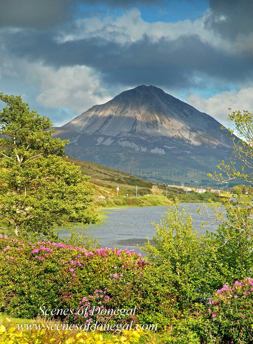 scenesofdonegal's tweet photo. Colourful view of Errigal from An Chúirt Hotel

#donegal #wildatlanticway #scenesofdonegal #visitdonegal #ireland #lovedonegal #errigal https://t.co/hxGANWfk1i