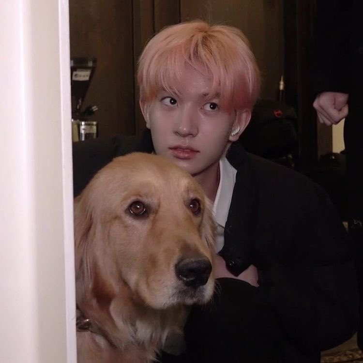heeseung with puppies, a thread;
