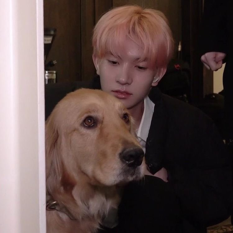 lheesoftie's tweet photo. heeseung with puppies, a thread; https://t.co/iJjJHrYwdY