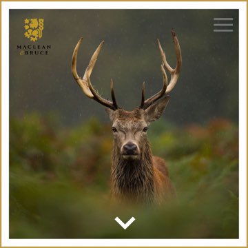 MacLean & Bruce (@macleanandbruce) on Twitter photo Today we are delighted to launch our new website - macleanandbruce.com, which the wonderful team at g1gabyte.com have created, itâs exactly what we asked for, thanks guys. 
Our new logo was created for us by Totalize Media as part of our post-covid evolution. Today we are delighted to launch our new website - macleanandbruce.com, which the wonderful team at g1gabyte.com have created, itâs exactly what we asked for, thanks guys. 
Our new logo was created for us by Totalize Media as part of our post-covid evolution.