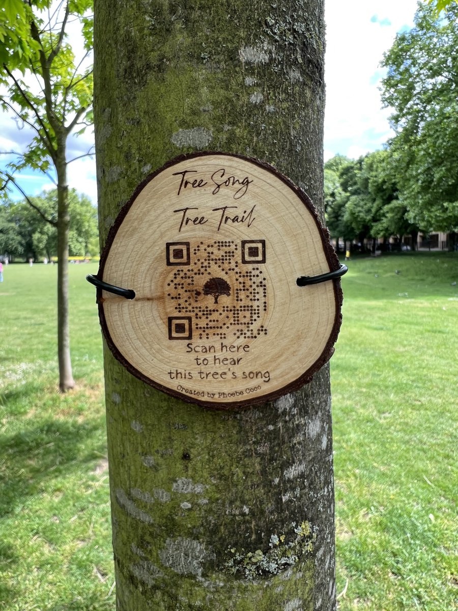 TiCLme's tweet photo. These beautiful little signs are attached to trees 🌳🌲 all over Islington
They’re linked to songs 🎶
How lovely is that?
#TreeSong 🌳🎶 @phoebecoco https://t.co/Hv0iY9h2nH