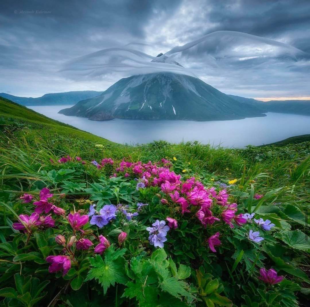 inanotherw's tweet photo. Вулкан Креницына. Курильские острова.
Примерная высота сос��авляет 1325 метров. https://t.co/8aKryvPnl4