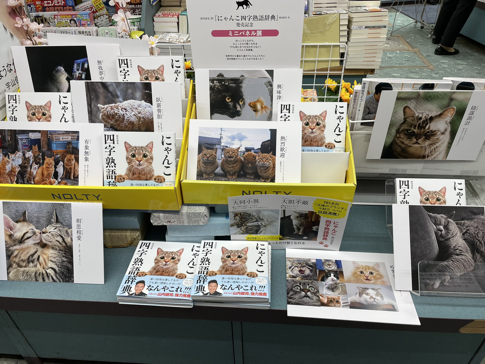 山下書店 世田谷店 にゃ にゃんと 当店でも本日より にゃんこ四字熟語辞典 発売記念ミニパネル展開催 かわいいにゃんこ達と四字熟語を学べます ぜひ お立ち寄りくださいにゃ 飛鳥新社 にゃんこ四字熟語辞典 T Co Xzrkqcnm3z
