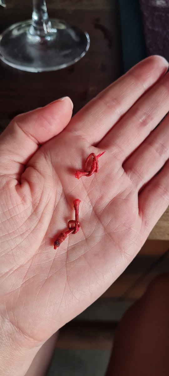 ohforf_cksakes's tweet photo. Do you want a girl who can tie a maraschino cherry 🍒 stem into a knot with her tongue?
Hi I'm single & available. 😂 #happyhour #bartrick https://t.co/2EUyGK3YQl