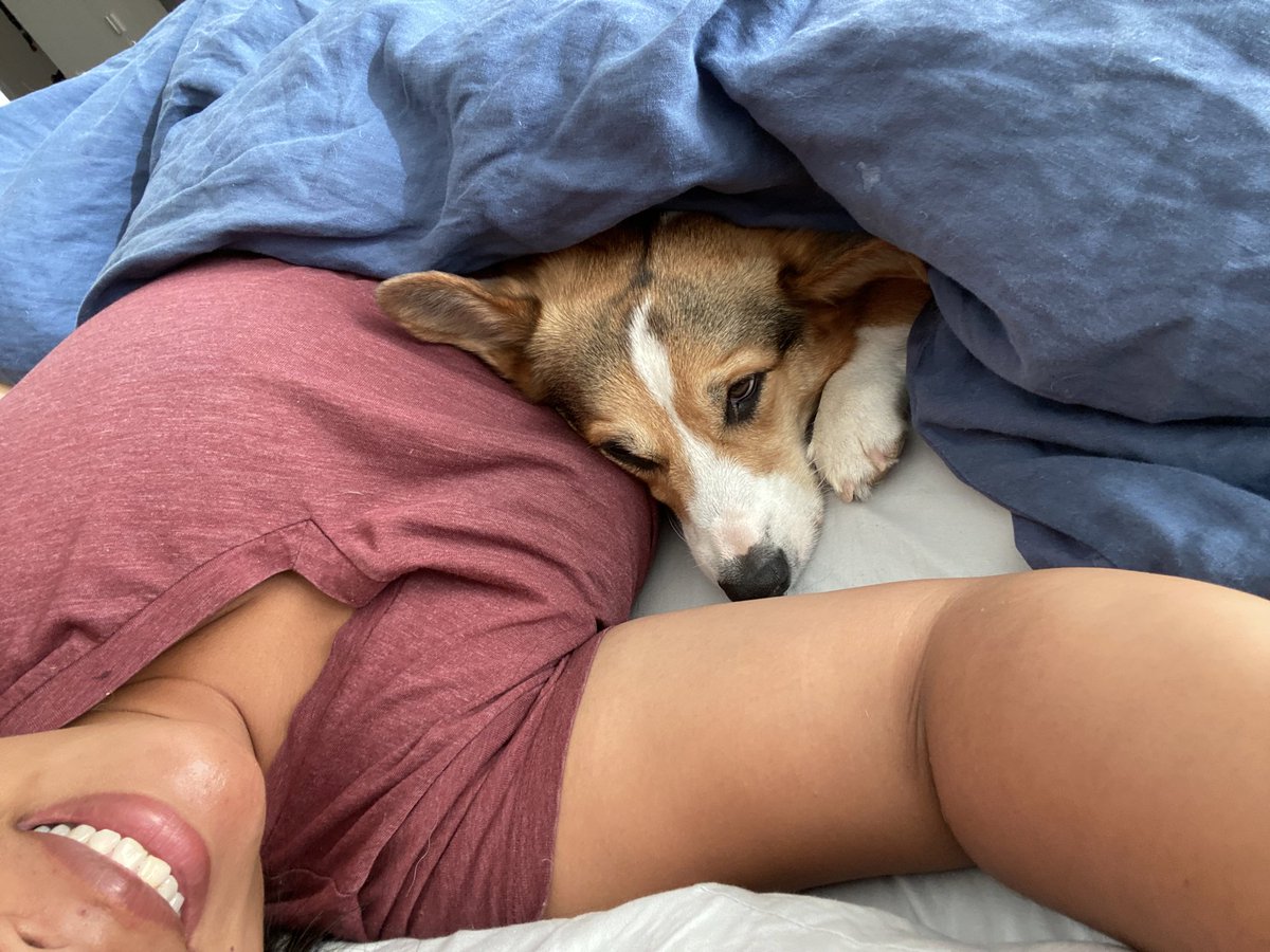 PAVGOD's tweet photo. kiss ur dog goodnight https://t.co/SGM3pAFgeZ