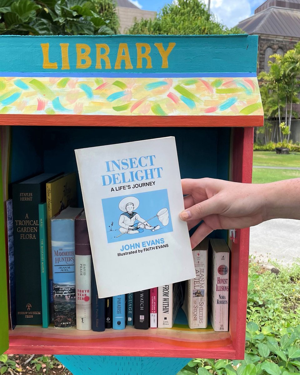 bishopmuseum's tweet photo. Take a #nature break in #BishopMuseum’s Nā Ulu Kaiwi‘ula Native Hawaiian Garden and browse one of our two Little Free Diverse Libraries.
Continue the learning beyond the Museum by visiting https://t.co/n7gcEEBJka!
#BishopMuseumPress
#LFDL #BishopMuseumLFDL
#HawaiisMuseum https://t.co/OTYTKJY9qI