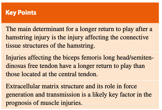@DocXValle et al. adding another piece to the puzzle of the complex return to play decision making process. Great work!!  #MRI #sportsmedicine #football #hamstrings
