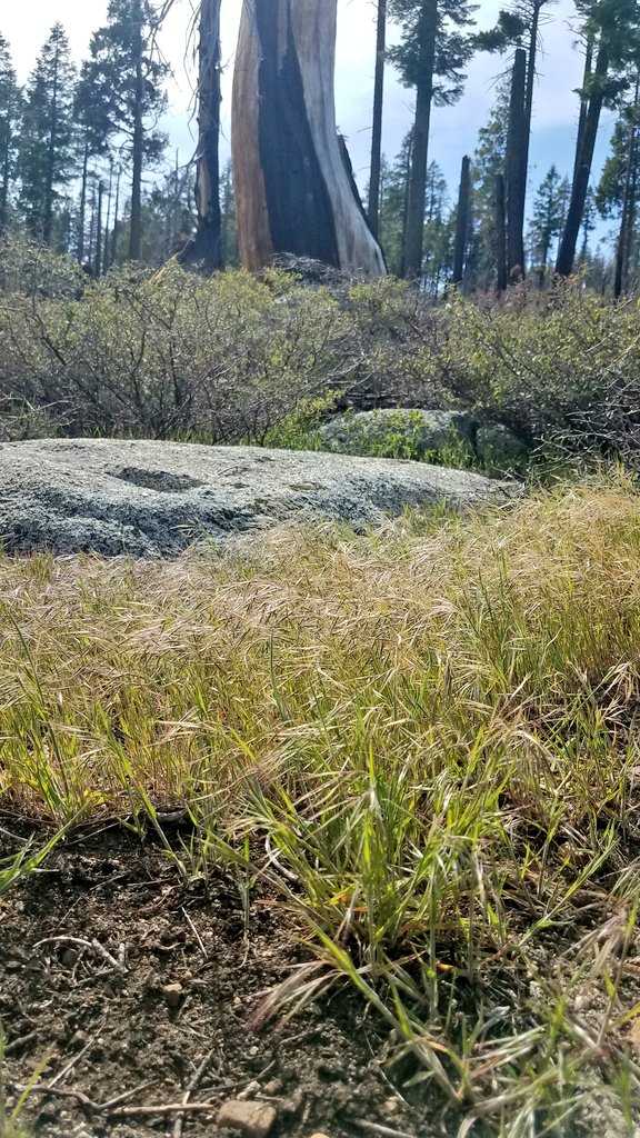 Claire Tortorelli tweet media