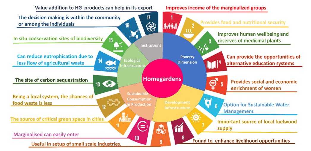 rashmitasharma5's tweet photo. Some brief about our recent paper on Agroforestry impact on UN SDGs...#SDGs,#LocalFoodSecurity, #Agroforestry,#TraditionalPractices. Read the full paper at https://t.co/A1ZAbOn0pg https://t.co/HorgurfLp7