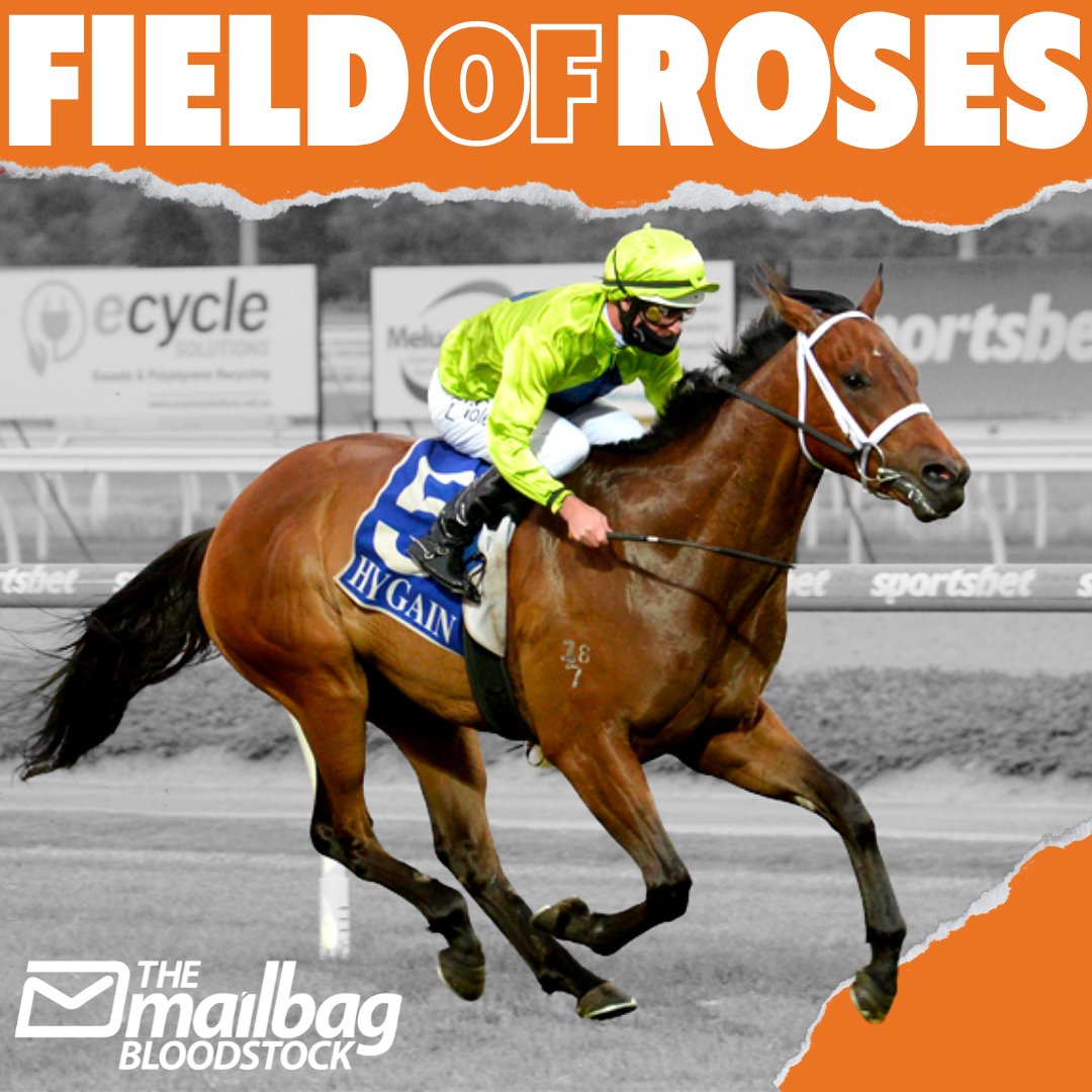 Mailbag Bloodstock tweet media