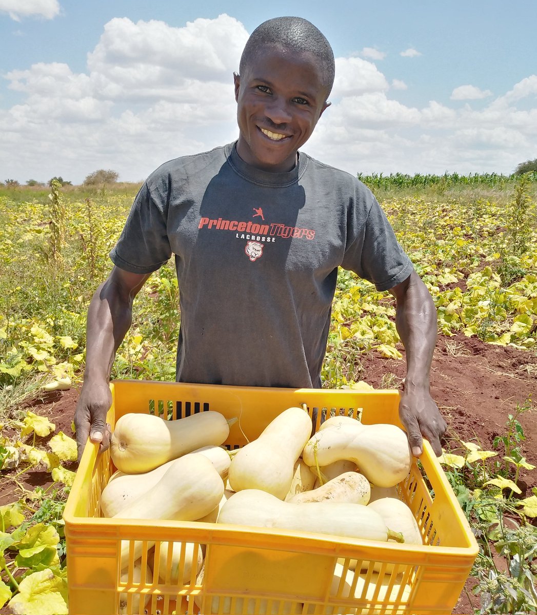 There is a enough space for as all to make money in farming.
#Letsgrowtogether
#MboleaNiYara