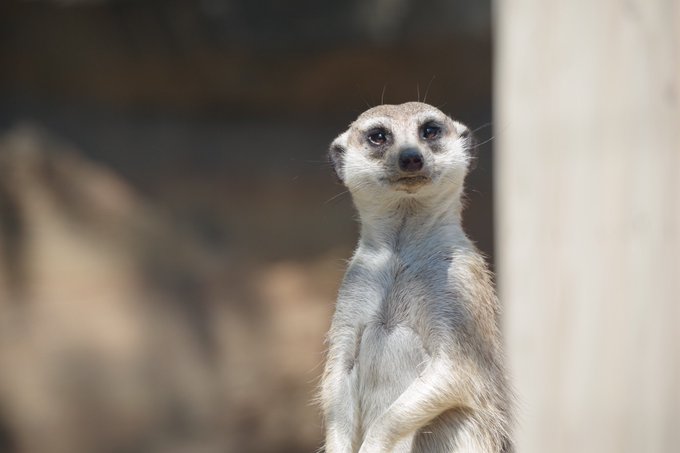 今日の撮れ高 その2 