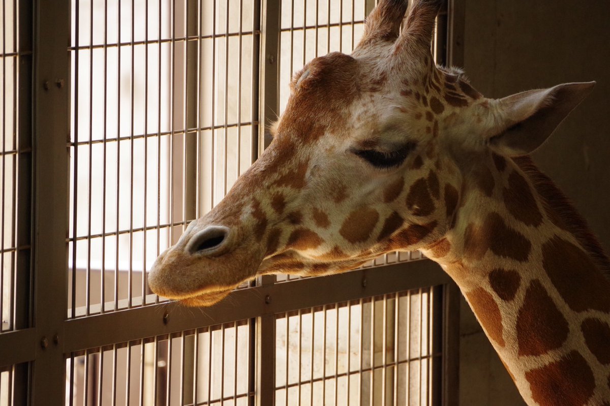 今日の撮れ高 その2 