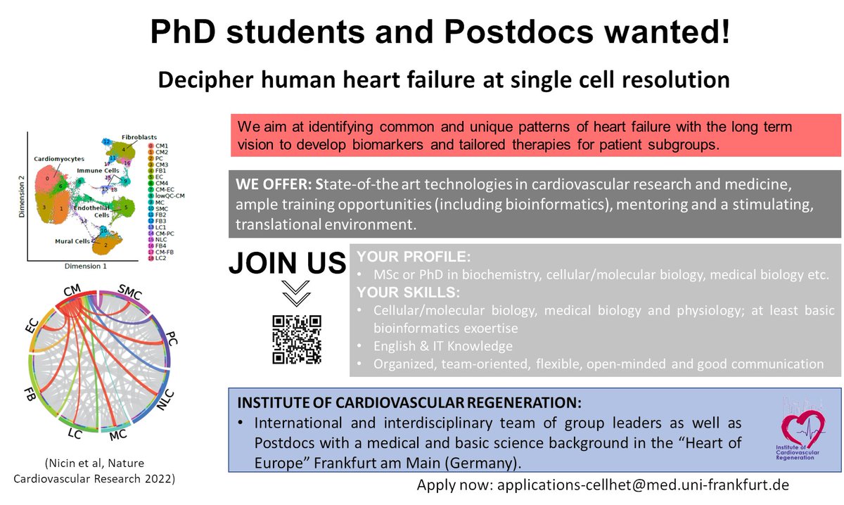 Stefanie Dimmeler (@stefaniedimmel1) on Twitter photo Interested in deciphering human heart failure at single cell resolution for developing novel diagnostic and therapies? Apply now at the <a href="/DimmelerLab/">Stefanie Dimmeler</a> 👇 Interested in deciphering human heart failure at single cell resolution for developing novel diagnostic and therapies? Apply now at the <a href="/DimmelerLab/">Stefanie Dimmeler</a> 👇