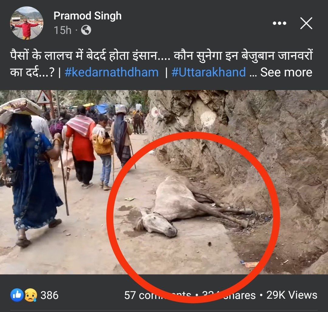 joedelhi's tweet photo. 80,000 +- Horses/Mules carry humans  everyday at Kedarnath Yatra (Pilgrimage) @OfficeofDhami
😡Used as Machines instead of Living Species, Over worked due to human greed, many are dying on way. 
🔴This horse is alive left to die
😢Watch video @asharmeet02 https://t.co/5CraROBCEC https://t.co/fCma4pO4ac