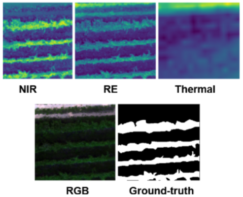marinello_unipd's tweet photo. This work show how high-definition RGB #imaging can produce higher performance than #multispectral band combination. I served as editor for this interesting work: congrats to the authors! #CompAg 
@ELSenviron @DJIGlobal @MicaSense  #AgTech #Deeplearning ➡️ https://t.co/7T4TRIitZs https://t.co/rKjlKmwHFH