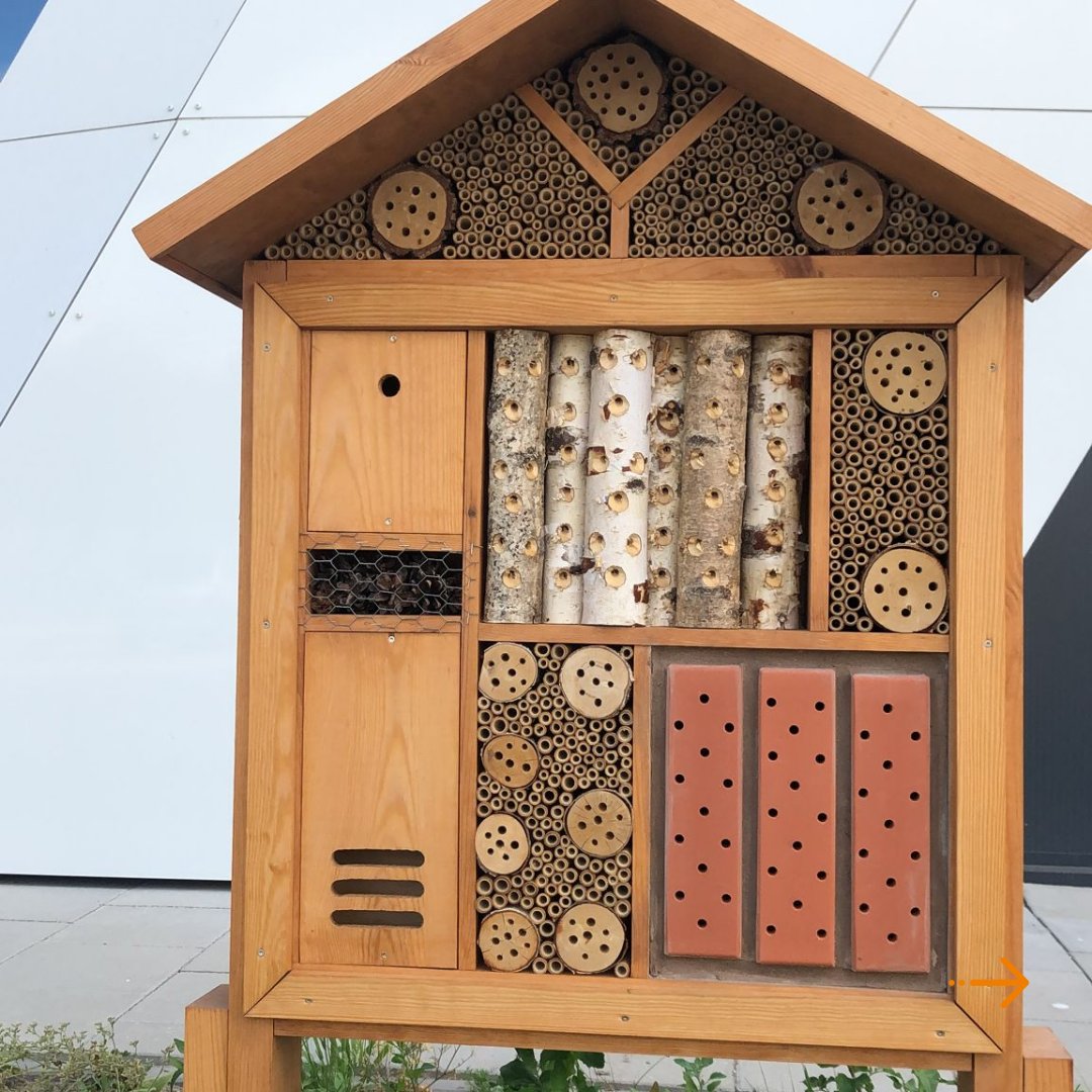 Dolmans Landscaping tweet media