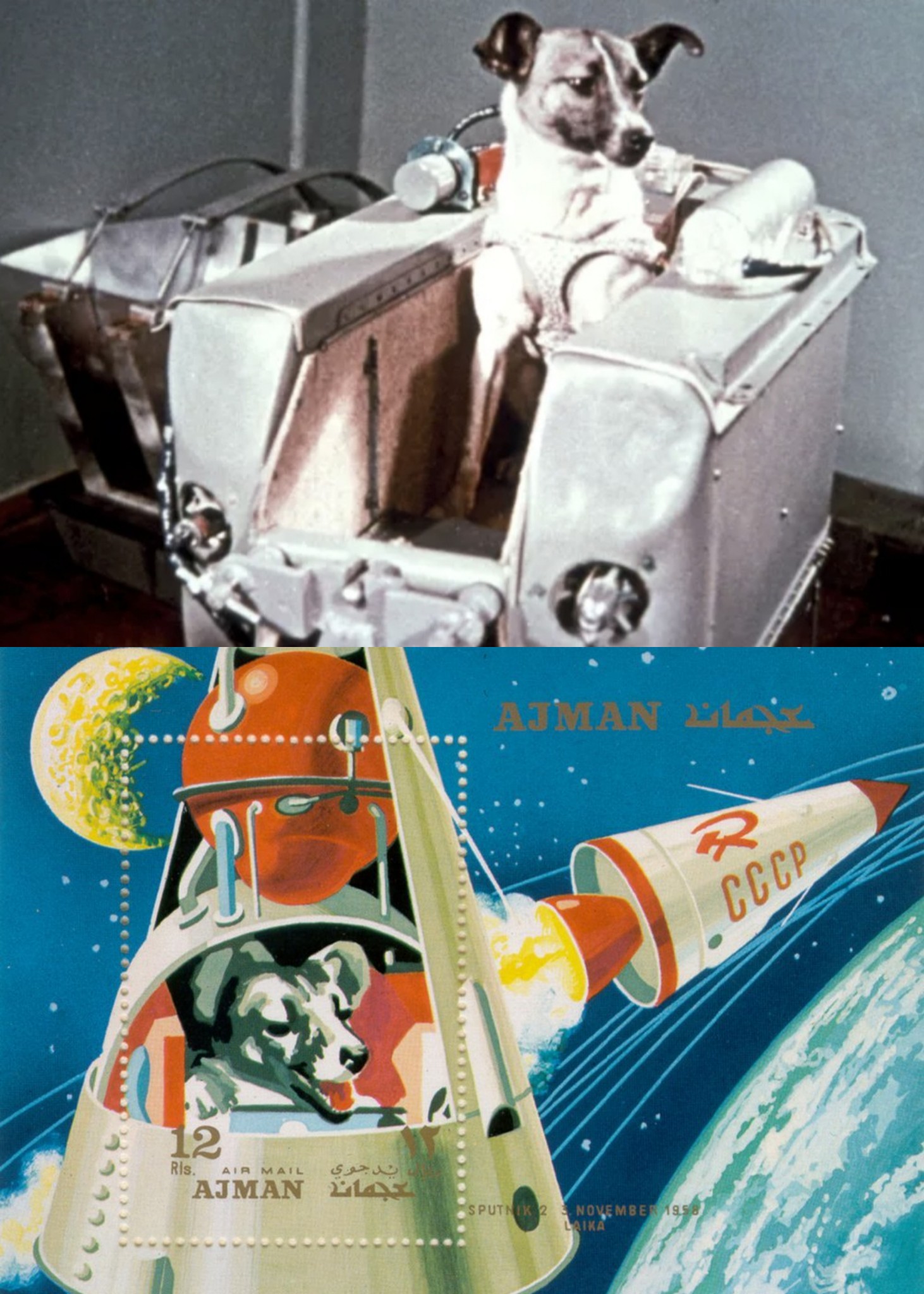 go2spacenft on Twitter: go2spacenft on Twitter: