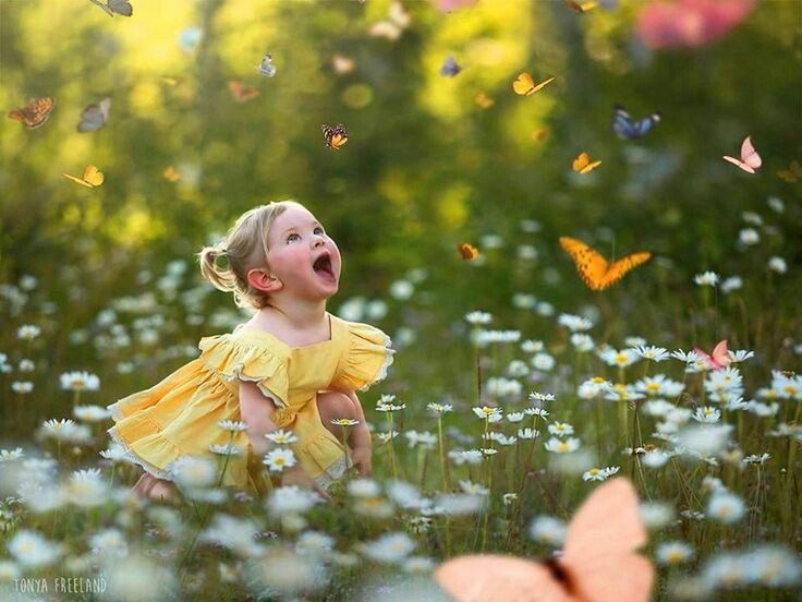 Think of all the beauty still left around you and be happy.

Anne Frank