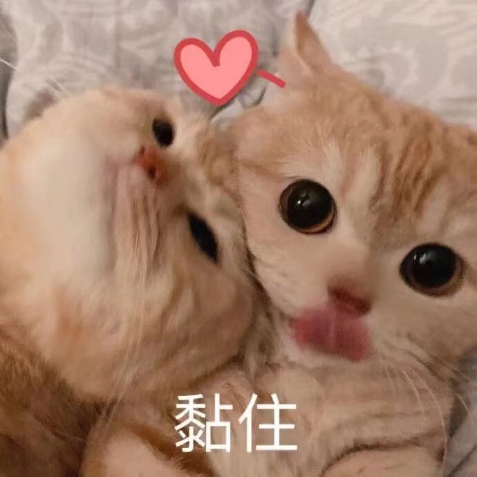 Gemi_525's tweet photo. @Kyou_039 https://t.co/X1xK7MYqS6