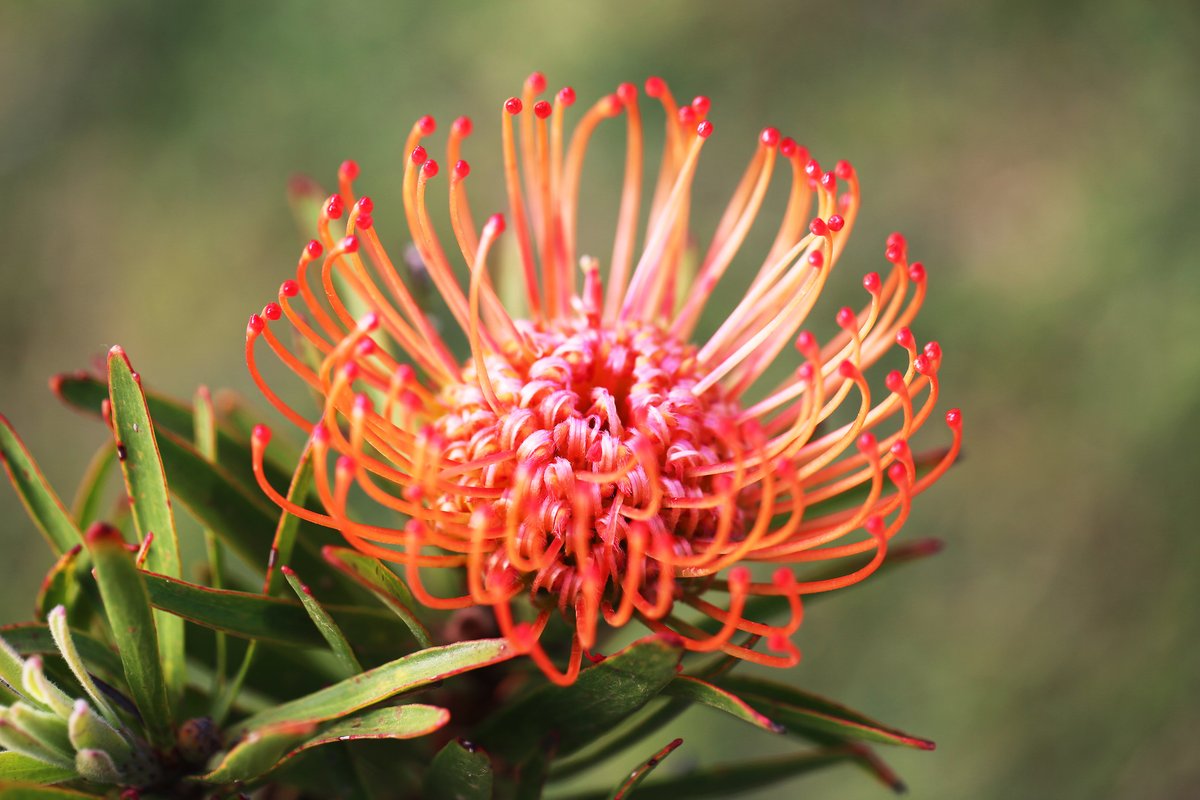 Tara Turkington tweet media