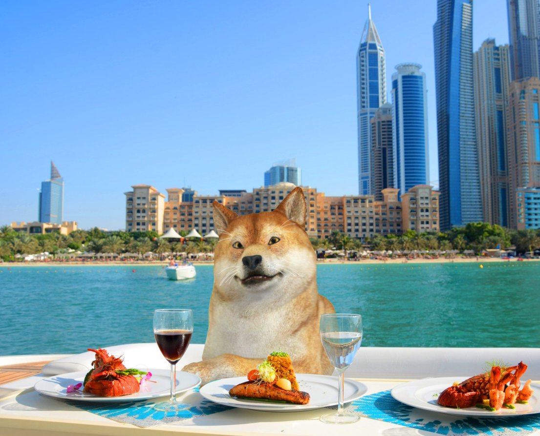 AnthonyMoneydog's tweet photo. GM / GN, guys🌍

What are you all doing? 
As for me, I’ve just finished my breakfast and now I’m sitting here enjoying the view and my life😋 https://t.co/WE2lWTirpZ