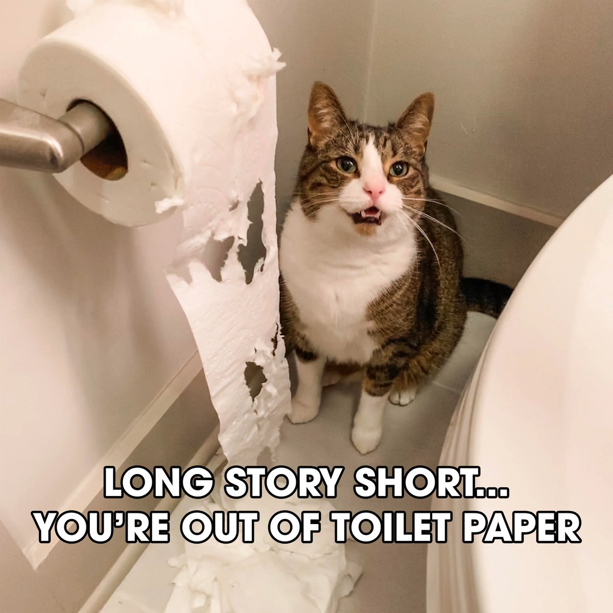 Ozark Pet tweet media