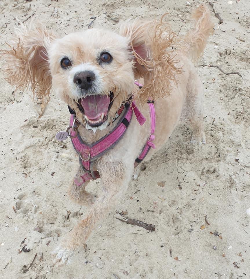 MissLatteMeg's tweet photo. @darth Playgroup https://t.co/Y4aTuNVgls