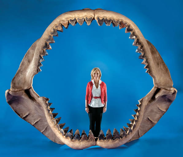 3yyron's tweet photo. @memeland Megalodon's mouth background!
Make it real mouth with flesh. That will be awesome!
#memelandtraits https://t.co/CtgsRoTs6w